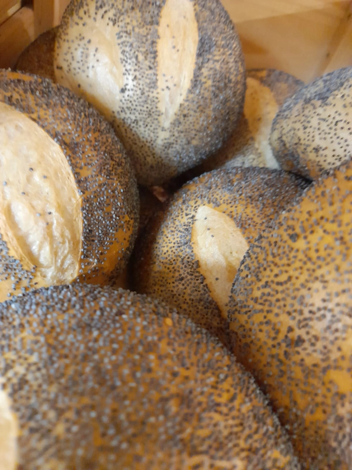 Brot Bäckerei Konditorei