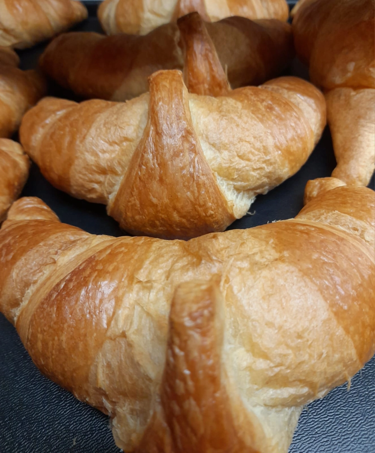 Brot Bäckerei Konditorei