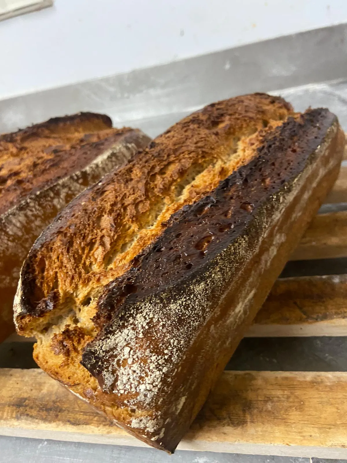 Brot Bäckerei Konditorei