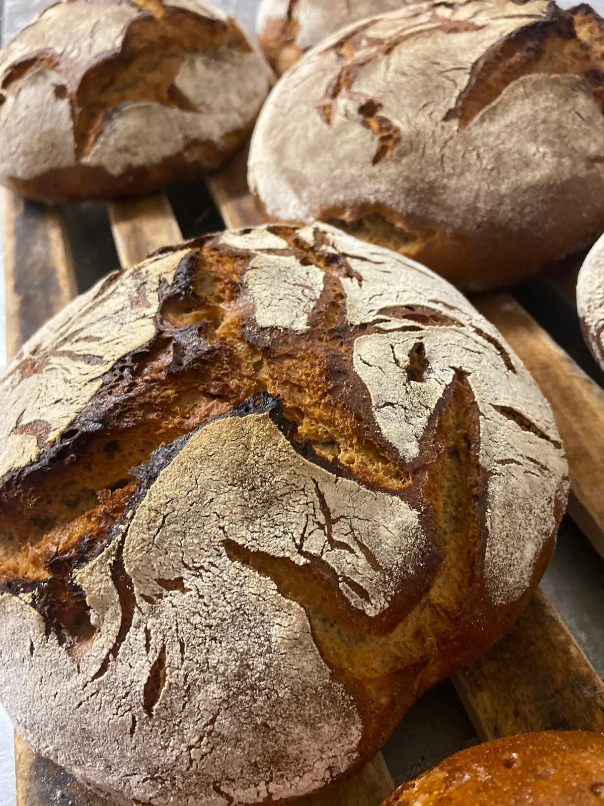 Brot Bäckerei Konditorei