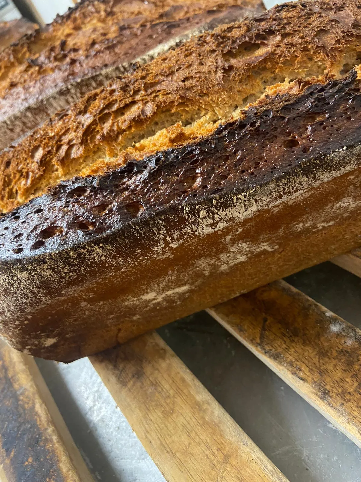 Brot Bäckerei Konditorei